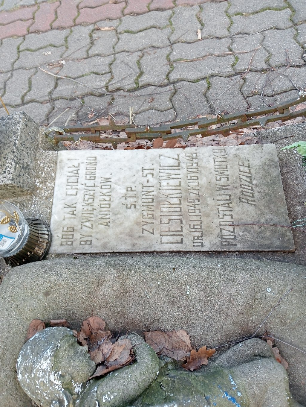 Zygmunt Ciesiołkiewicz 1949 Falenica - Grobonet - Wyszukiwarka osób pochowanych