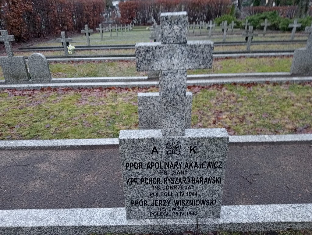 Apolinary Akajewicz Falenica - Grobonet - Wyszukiwarka osób pochowanych